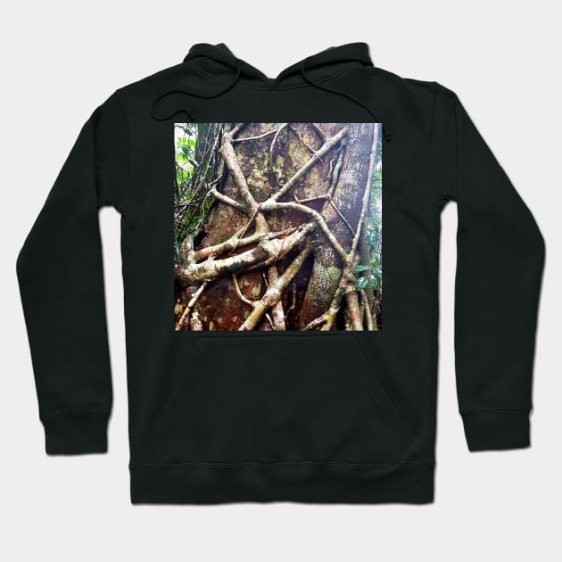 Rainforest Roots Hoodie by Felicity-K